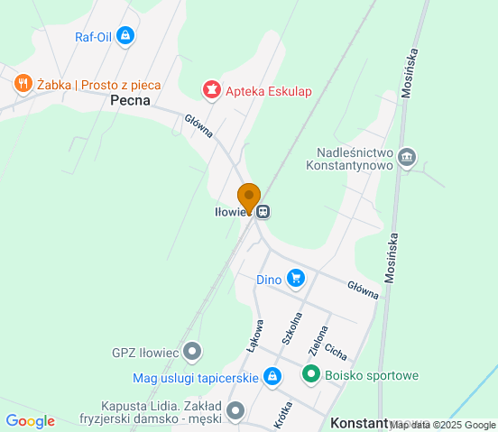 Mapa dojazdu do hurtowni motoryzacyjnej w miejscowości Pecna