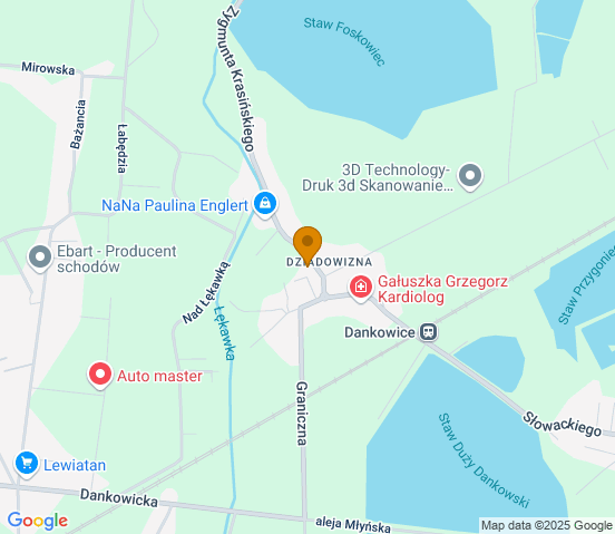 Mapa dojazdu do warsztatu samochodowego w miejscowości Dankowice